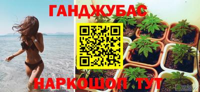 spice Нальчик